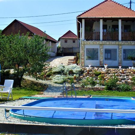Tokaj Hill Panorama Guesthouse 赛伦奇 外观 照片