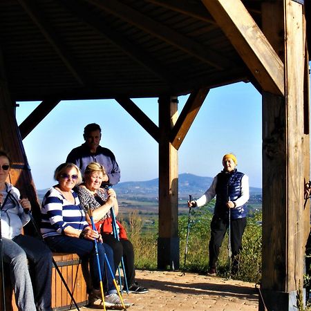 Tokaj Hill Panorama Guesthouse 赛伦奇 外观 照片