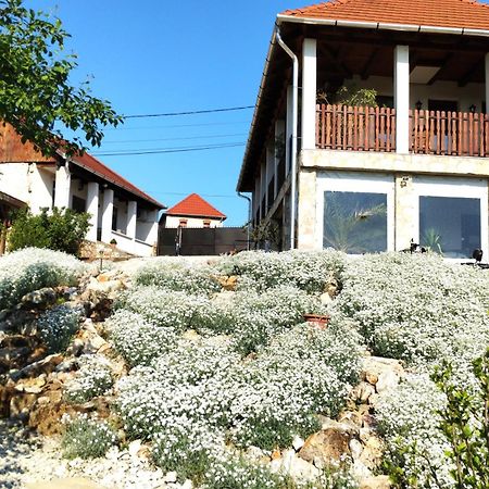 Tokaj Hill Panorama Guesthouse 赛伦奇 外观 照片