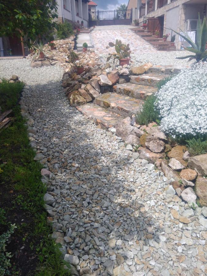Tokaj Hill Panorama Guesthouse 赛伦奇 外观 照片