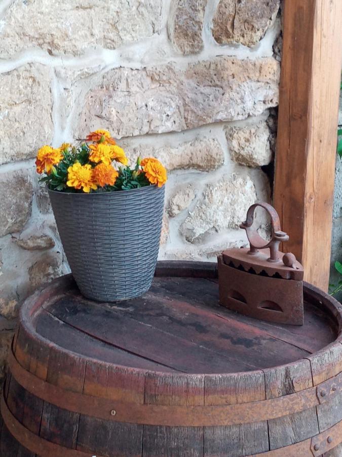 Tokaj Hill Panorama Guesthouse 赛伦奇 外观 照片