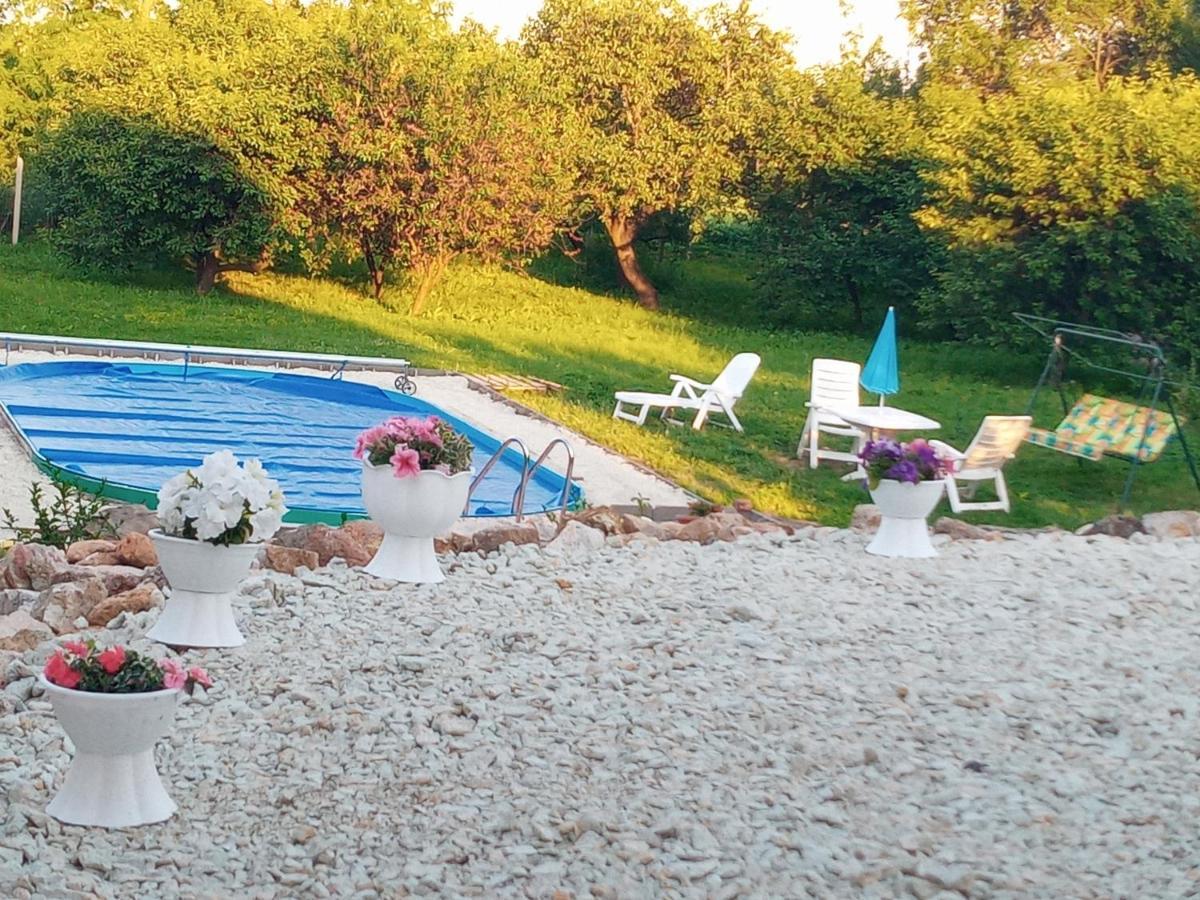 Tokaj Hill Panorama Guesthouse 赛伦奇 外观 照片