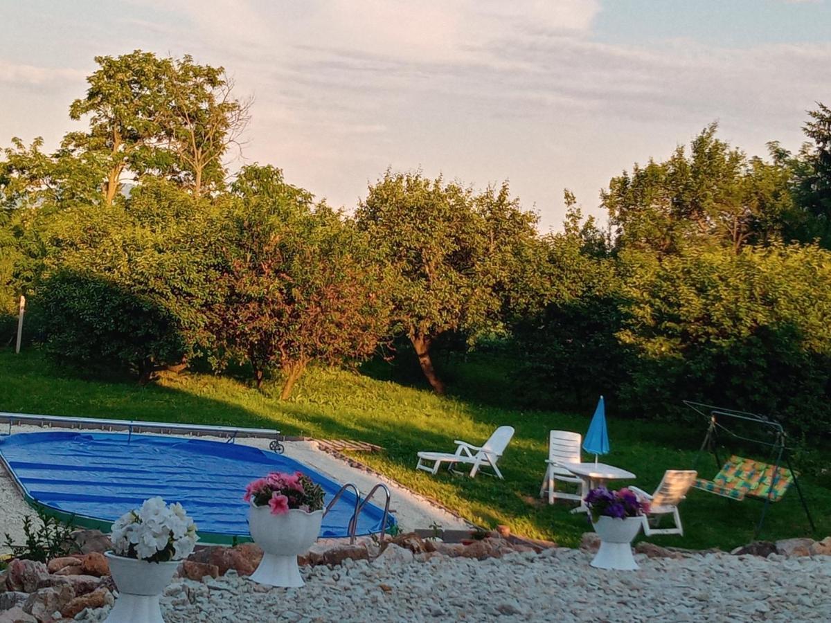 Tokaj Hill Panorama Guesthouse 赛伦奇 外观 照片