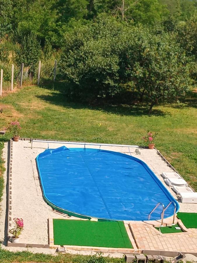 Tokaj Hill Panorama Guesthouse 赛伦奇 外观 照片