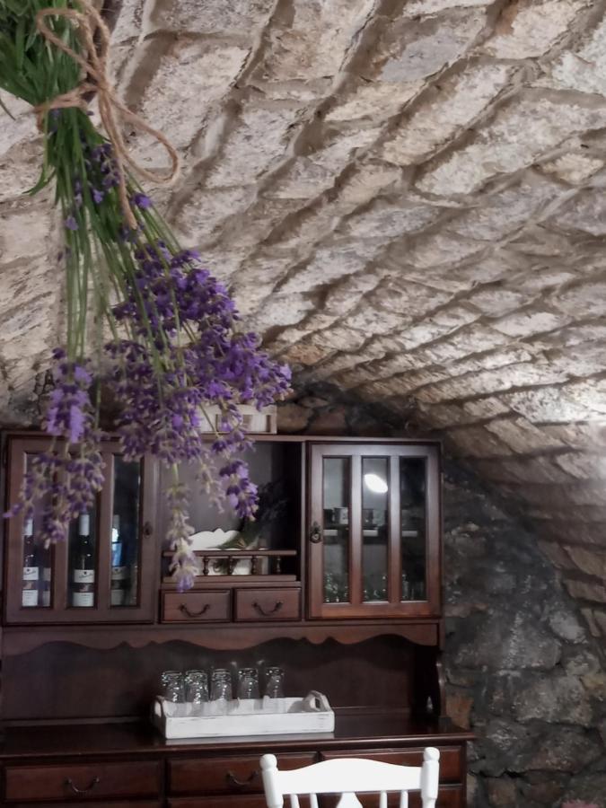 Tokaj Hill Panorama Guesthouse 赛伦奇 外观 照片