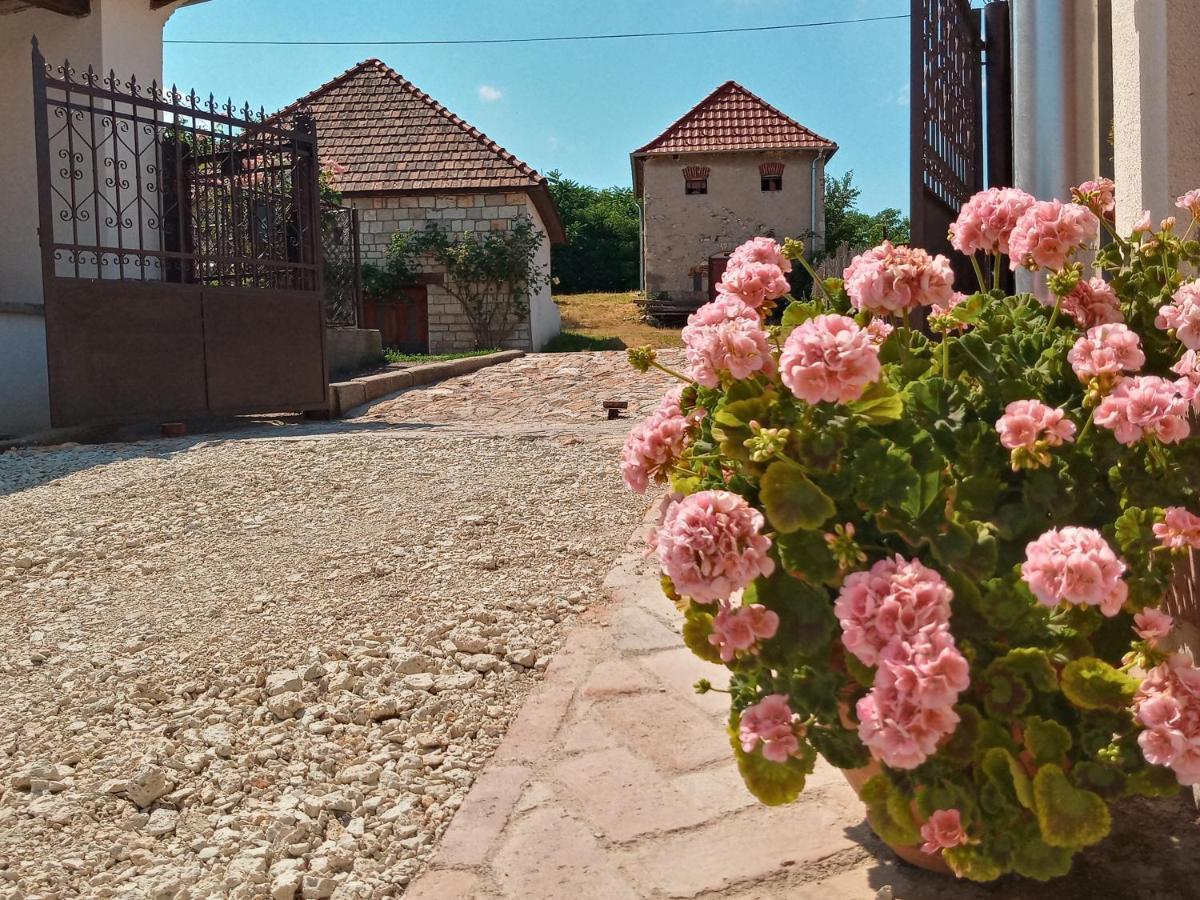 Tokaj Hill Panorama Guesthouse 赛伦奇 外观 照片