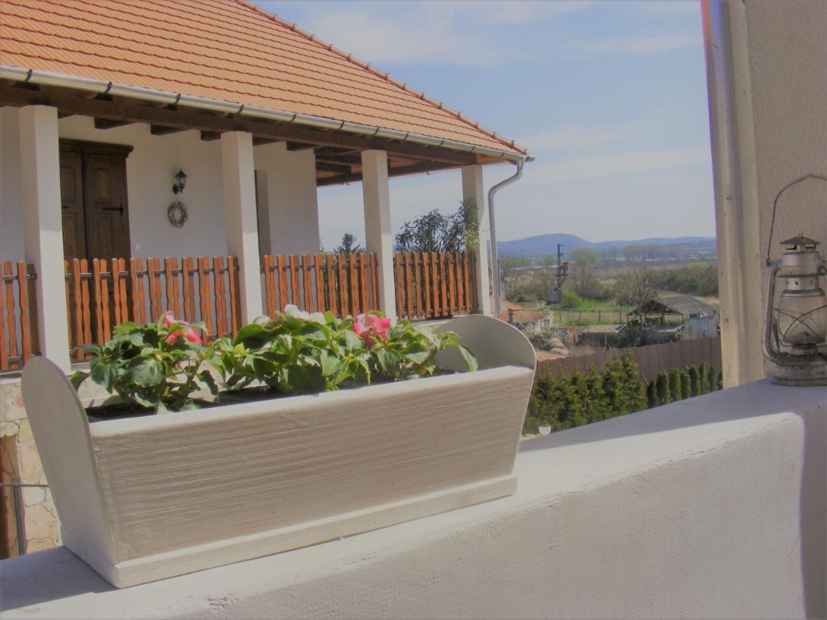 Tokaj Hill Panorama Guesthouse 赛伦奇 外观 照片
