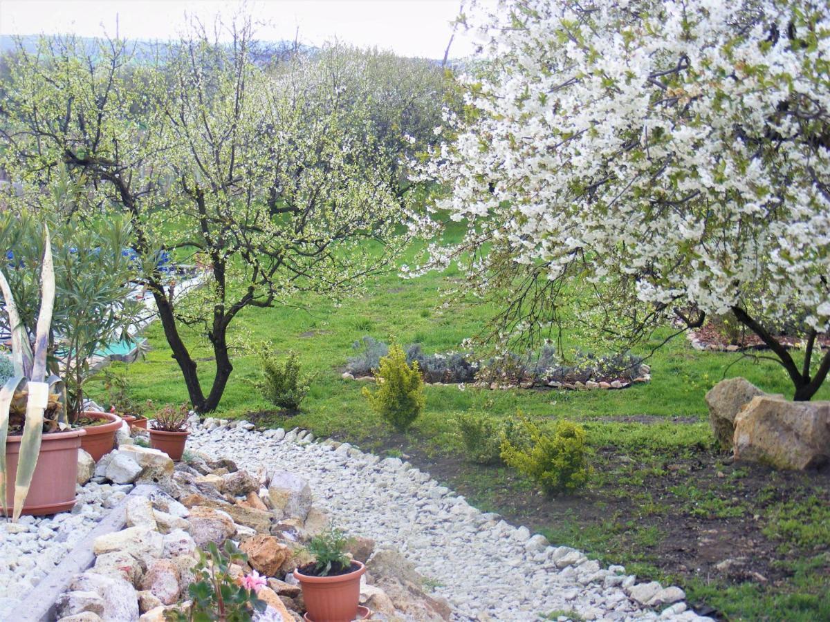 Tokaj Hill Panorama Guesthouse 赛伦奇 外观 照片