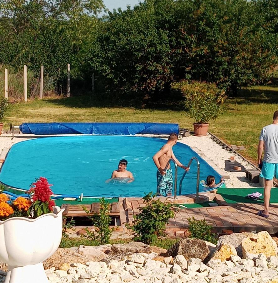 Tokaj Hill Panorama Guesthouse 赛伦奇 外观 照片