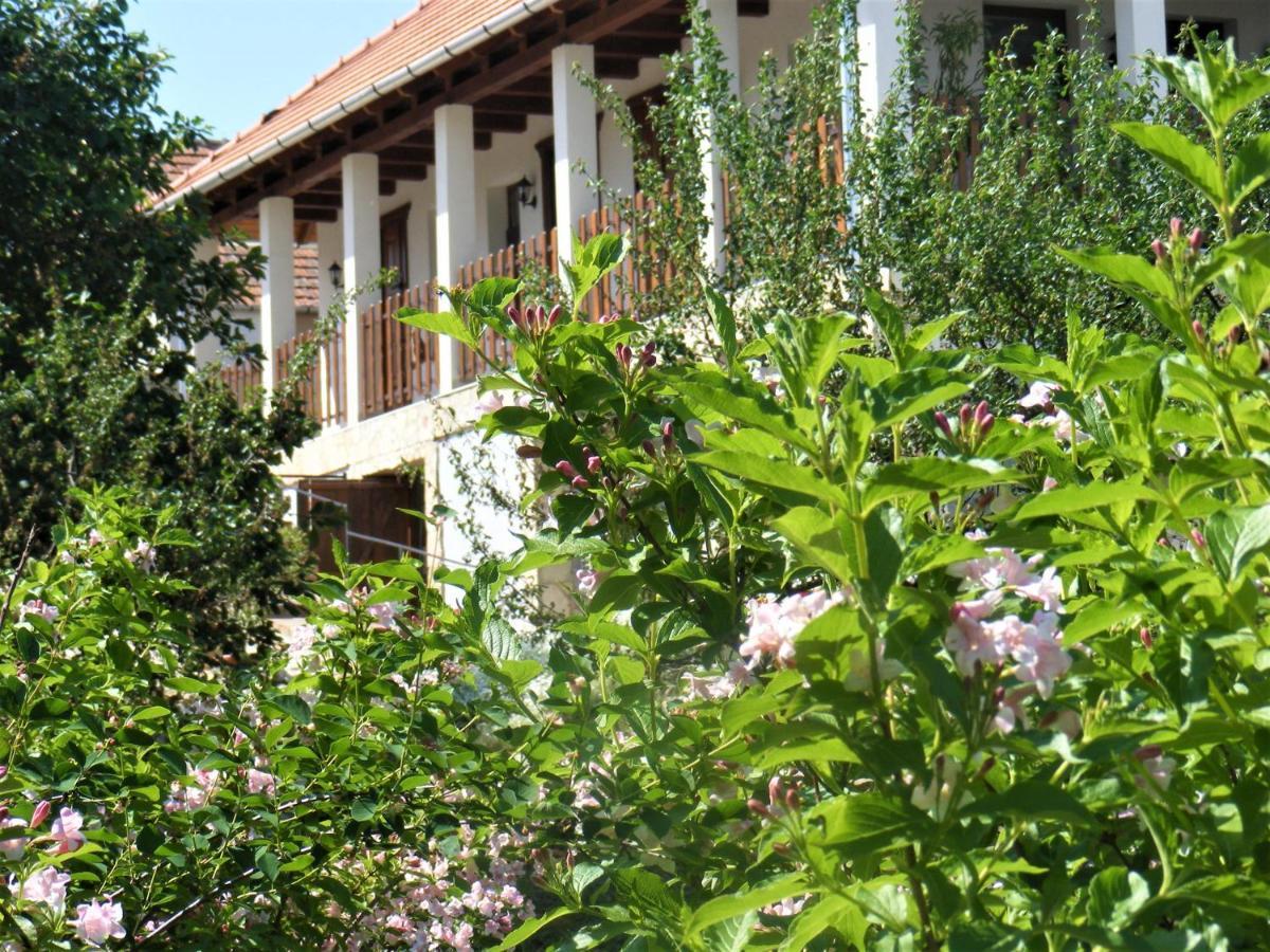 Tokaj Hill Panorama Guesthouse 赛伦奇 外观 照片