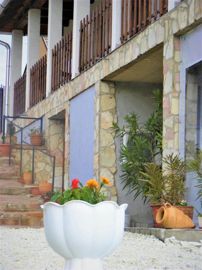 Tokaj Hill Panorama Guesthouse 赛伦奇 外观 照片
