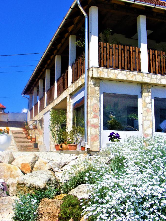 Tokaj Hill Panorama Guesthouse 赛伦奇 外观 照片