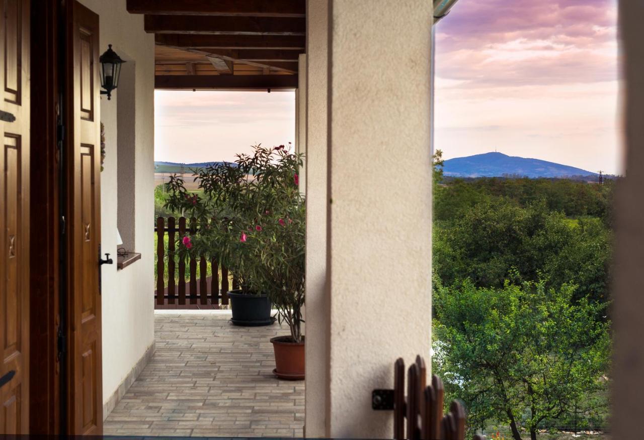 Tokaj Hill Panorama Guesthouse 赛伦奇 外观 照片