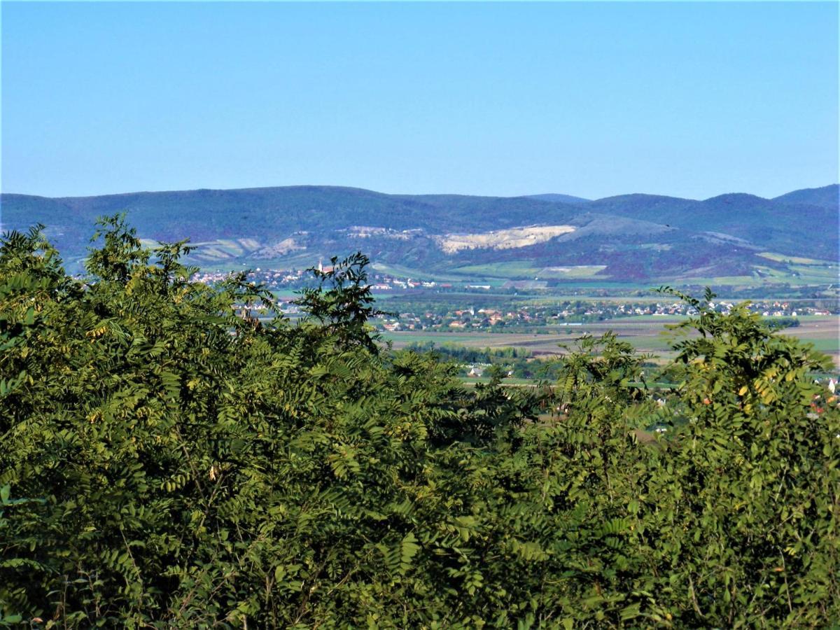 Tokaj Hill Panorama Guesthouse 赛伦奇 外观 照片