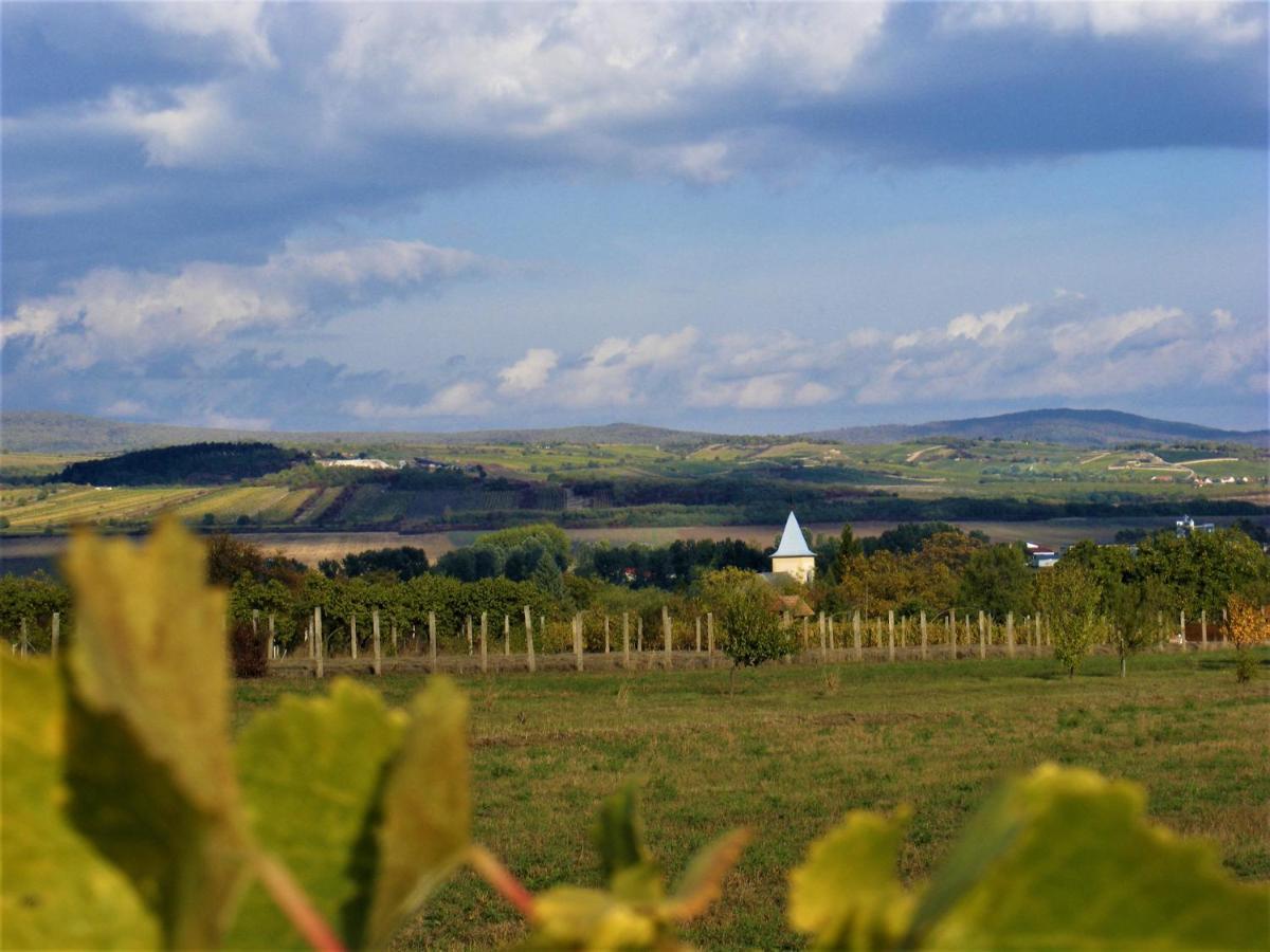 Tokaj Hill Panorama Guesthouse 赛伦奇 外观 照片