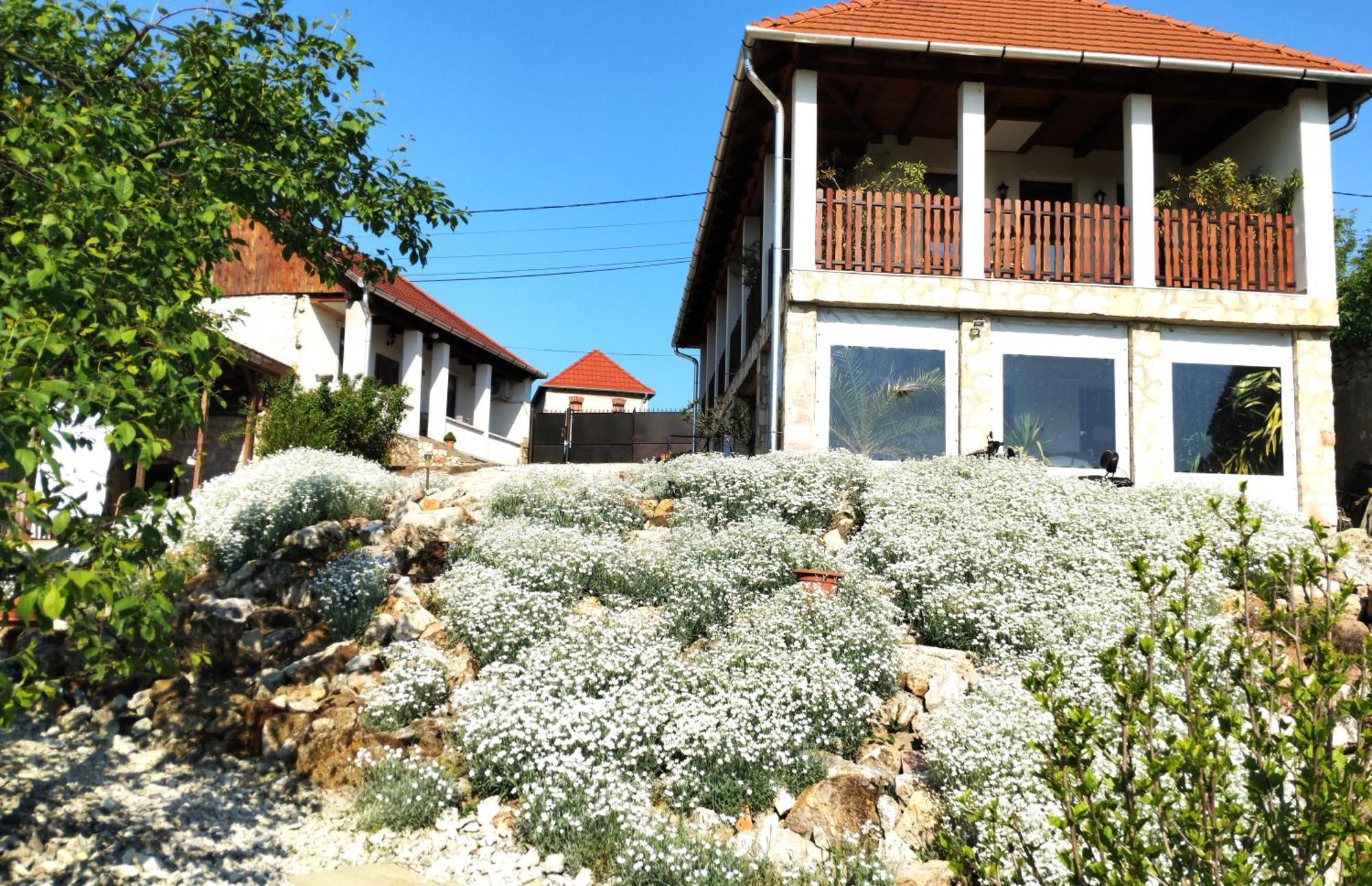 Tokaj Hill Panorama Guesthouse 赛伦奇 外观 照片